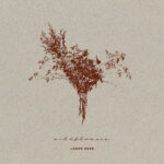 « Wildflowers », nouvel album de LONER DEER [folk / Rouffach]